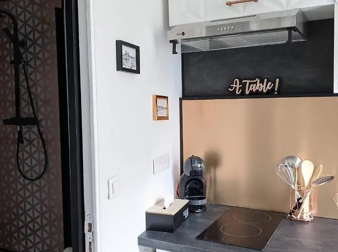 Apartamento Hypercentre Calme Proche Centre Des Congres